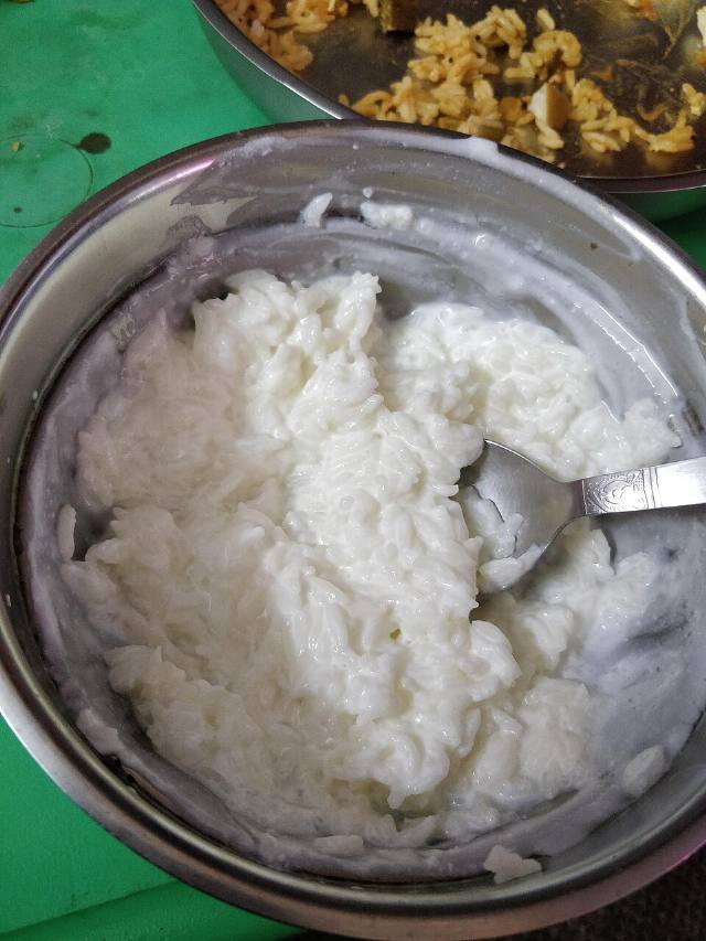 Fresh Dahi (Curd)
