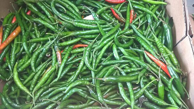 Green Chilli (Hari Mirch)