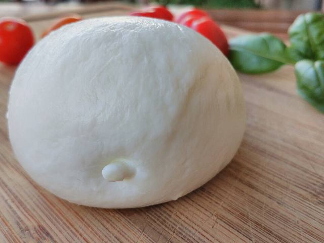 Fresh Mozzarella