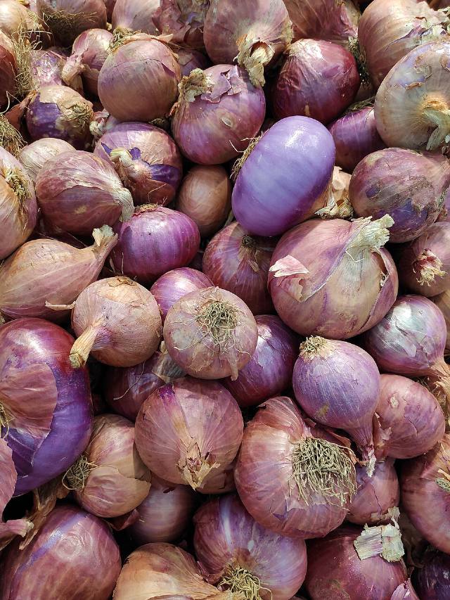Onion (Pyaz)